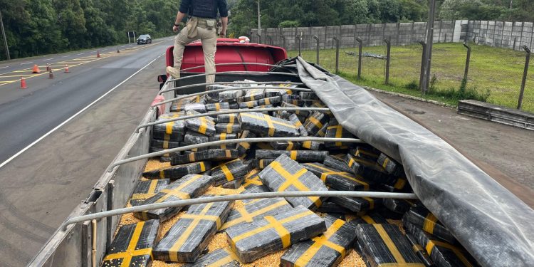 PRF apreende quase 2,5 toneladas de maconha na BR-277