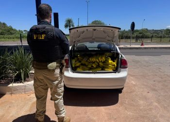 PRF apreende quase 300 quilos de maconha na BR-487