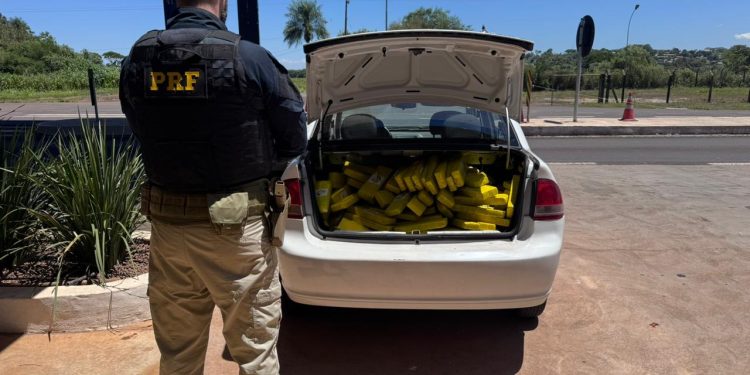 PRF apreende quase 300 quilos de maconha na BR-487