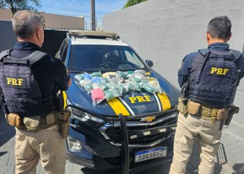 PRF apreende quase 16 quilos de haxixe na BR-369, no Paraná