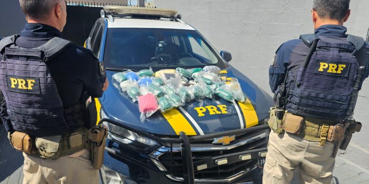 PRF apreende quase 16 quilos de haxixe na BR-369, no Paraná