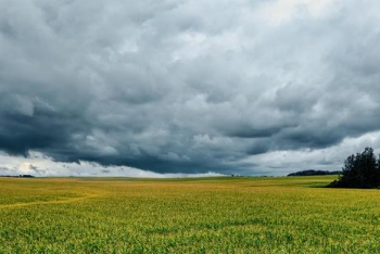 Chuva ganha força e temporais são esperados no fim de semana no Estado, aponta Simepar