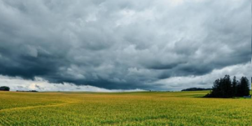 Chuva ganha força e temporais são esperados no fim de semana no Estado, aponta Simepar