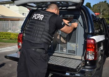 PCPR prende casal suspeito de desviar R$ 600 mil por meio de golpes