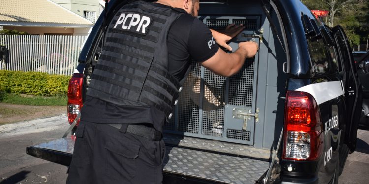 PCPR prende casal suspeito de desviar R$ 600 mil por meio de golpes