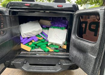 PCPR incinera mais de uma tonelada de entorpecentes