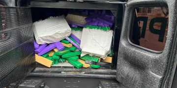 PCPR incinera mais de uma tonelada de entorpecentes