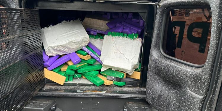 PCPR incinera mais de uma tonelada de entorpecentes