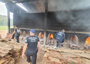 PCPR incinera uma tonelada de drogas em São José dos Pinhais