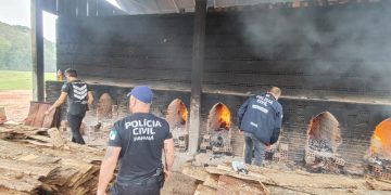 PCPR incinera uma tonelada de drogas em São José dos Pinhais
