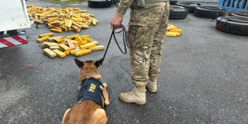 PRF apreende quase meia tonelada de maconha em pneus de carreta no Paraná