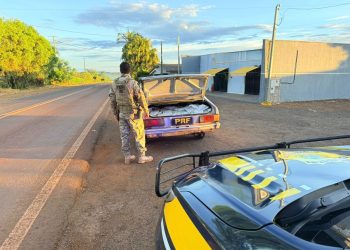 PRF aborda Corcel 2 e encontra 200 kg de agrotóxicos contrabandeados
