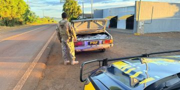 PRF aborda Corcel 2 e encontra 200 kg de agrotóxicos contrabandeados