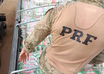 PRF apreende mais de 3 toneladas de maconha escondidas sob carga de arroz no Paraná