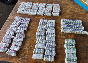 PRF apreende 340 ampolas de medicamentos de emagrecimento contrabandeados na BR-369