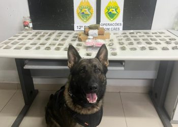 Polícia Militar apreende maconha em ação do 12º Batalhão em Santa Felicidade