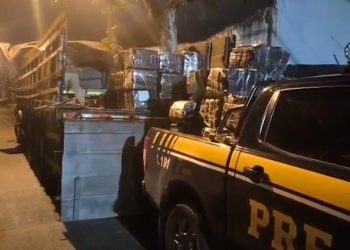 PRF apreende mais de 3 toneladas de maconha durante abordagem na BR-277