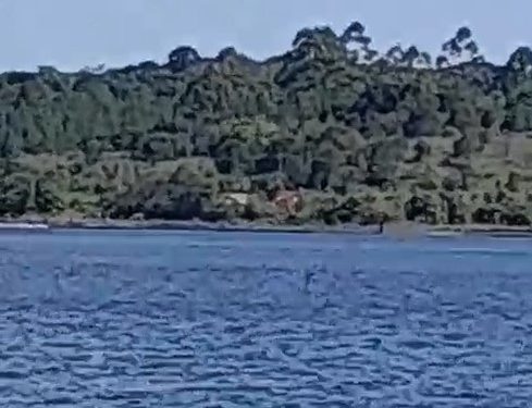 Homem morre afogado na Represa Piraquara 2