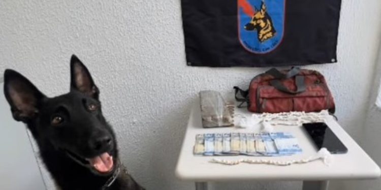 Operação Verão em Guaratuba resulta em prisão por tráfico e reforça segurança no Litoral do Paraná