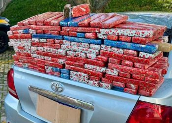 PRF apreende 132 quilos de maconha embalada para presente de Natal na BR-277