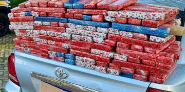 PRF apreende 132 quilos de maconha embalada para presente de Natal na BR-277