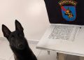 PM prende homem com quase 300 porções de crack e cocaína após ação com cão farejador em Matinhos