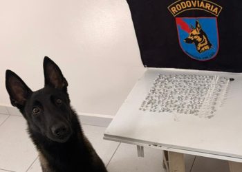 PM prende homem com quase 300 porções de crack e cocaína após ação com cão farejador em Matinhos