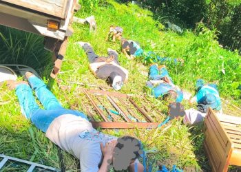 PM prende 11 pessoas e apreende menor por furto qualificado e estelionato em chácara