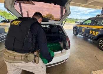 PRF prende casal com 131 quilos de drogas em veículo que transportava criança e cachorro na BR-487