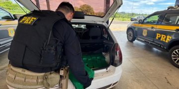 PRF prende casal com 131 quilos de drogas em veículo que transportava criança e cachorro na BR-487