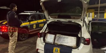 PRF apreende mais de 200 quilos de maconha durante fiscalização na BR-277