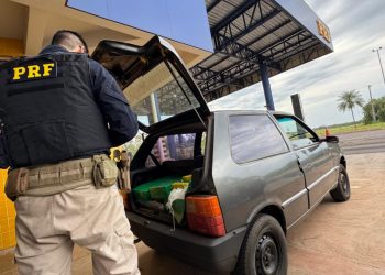 PRF apreende adolescente transportando 234 kg de maconha