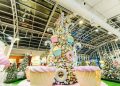 Shopping Estação apresenta espetáculo gratuito de teatro infantil na programação natalina do fim de semana