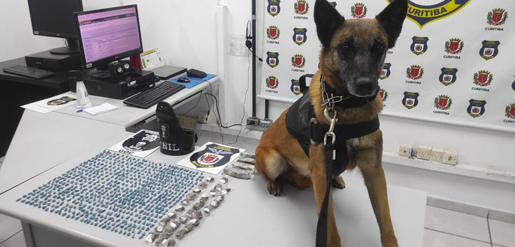 Guarda Municipal se despede da k-9 Tróia, que por mais de 8 anos combateu a criminalidade em Curitiba