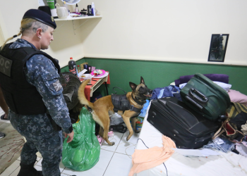 Primeira fase da Operação Checkout do ano prende oito pessoas e interdita hotel e pensão na região central de Curitiba