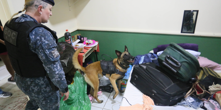 Primeira fase da Operação Checkout do ano prende oito pessoas e interdita hotel e pensão na região central de Curitiba