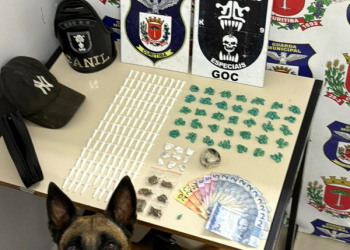 Grupo de Operações com Cães realiza prisão por tráfico de drogas e apreende diversas substâncias ilícitas