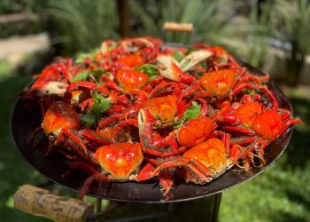 Festival do Caranguejo da Chácara das Vaquinhas começa dia 18 e segue até março