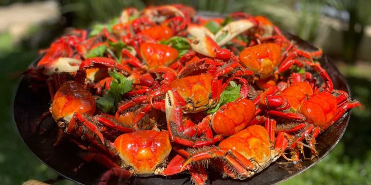 Festival do Caranguejo da Chácara das Vaquinhas começa dia 18 e segue até março