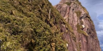 Bombeiros intensificam buscas por jovem desaparecido no Pico Paraná