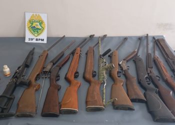 Polícia Militar apreende dez armas de fogo em Campina Grande do Sul