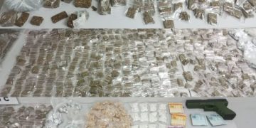 CIOC prende homem e apreende mais de 4 quilos de drogas durante operação com cães no Cajuru