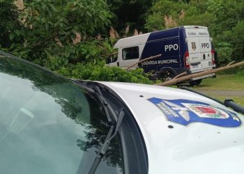 Guarda Municipal realiza operação no Parque Atuba e população agradece