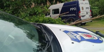 Guarda Municipal realiza operação no Parque Atuba e população agradece