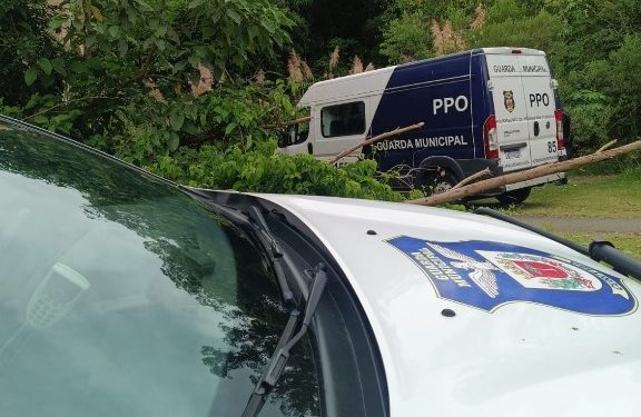 Guarda Municipal realiza operação no Parque Atuba e população agradece