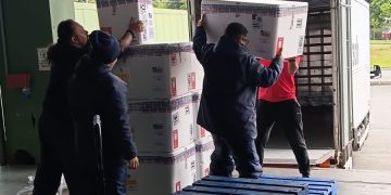 Paraná ofertará novo medicamento para prevenir vírus sincicial em bebês em fevereiro