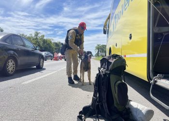 PMPR registra 9,6 mil infrações de trânsito durante o recesso de Ano Novo nas rodovias