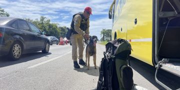 PMPR registra 9,6 mil infrações de trânsito durante o recesso de Ano Novo nas rodovias