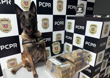PMPR e PCPR apreendem quase 150 toneladas de drogas com apoio de cães em 2025