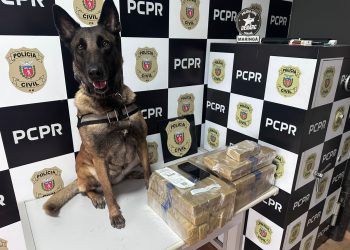 PCPR prende homem e apreende drogas em rodoviária